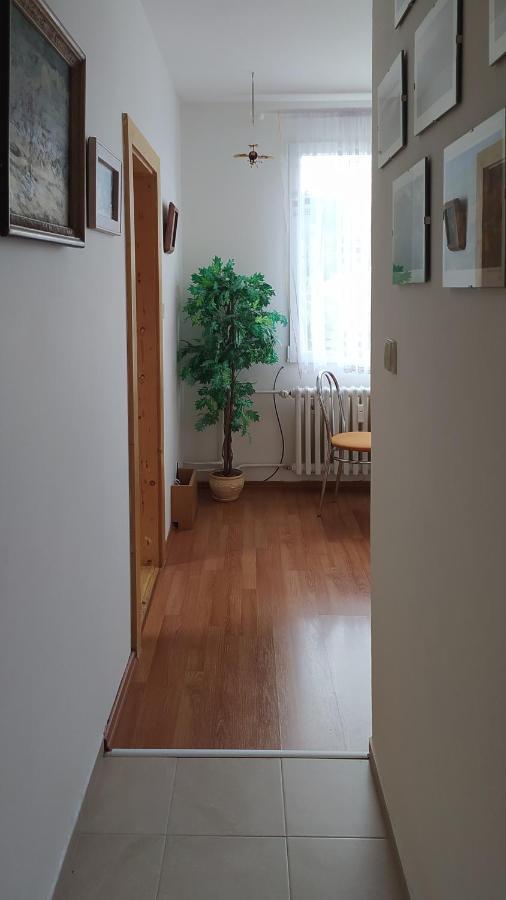 Apartman V Srní Exterior foto